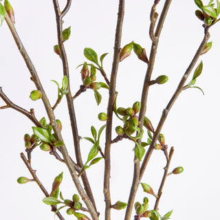 BUDDING BRANCHES 42", BUNDLE OF 2