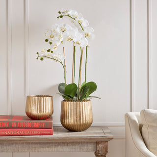 CLARISSA CACHEPOTS, SET OF 2