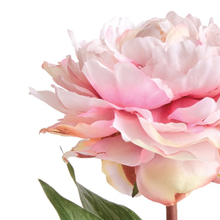 MINI PEONY POTTED 6.5" LIGHT PINK