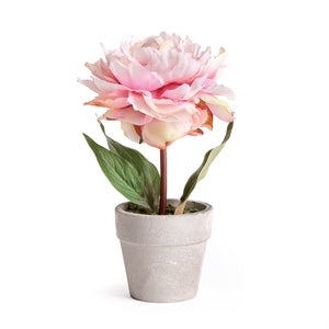MINI PEONY POTTED 6.5" LIGHT PINK