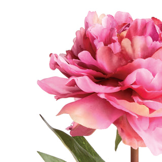 MINI PEONY POTTED 6.5" PINK