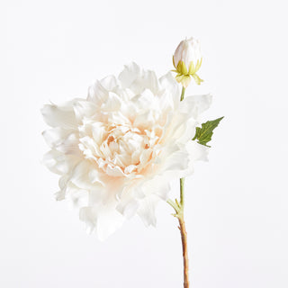 DAHLIA STEM 21.5" CREAM