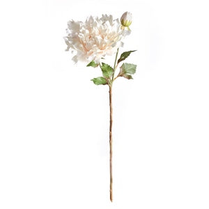 DAHLIA STEM 21.5" CREAM