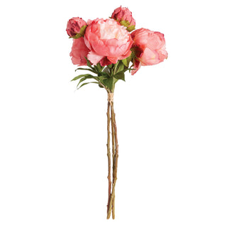 PEONIES 21", BUNDLE OF 3