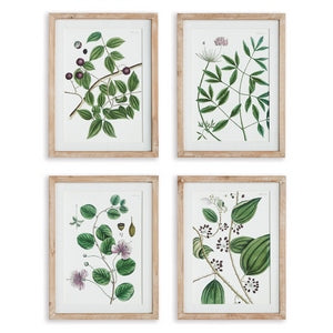 VERDANT BRANCH PRINTS, SET OF 4