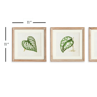 LEAF CUTTINGS PETITE PRINTS, SET OF 3