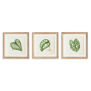 LEAF CUTTINGS PETITE PRINTS, SET OF 3