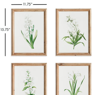 GARDEN BLOOM PRINTS, SET OF 4