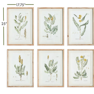 MID-SUMMER BLOOMS PRINTS, SET OF 6