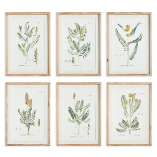 MID-SUMMER BLOOMS PRINTS, SET OF 6