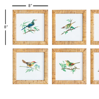 SONGBIRD PETITE PRINTS, SET OF 6