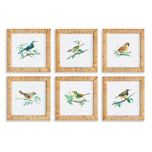 SONGBIRD PETITE PRINTS, SET OF 6