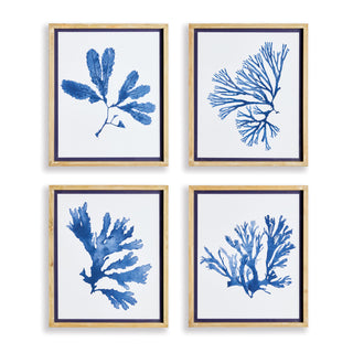 INDIGO SEAWEED PRINTS, SET OF 4