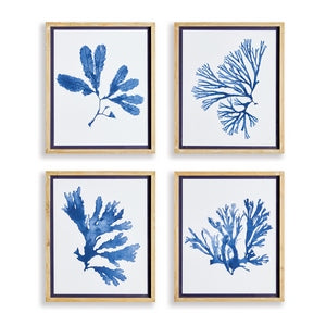INDIGO SEAWEED PRINTS, SET OF 4