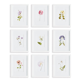MOUNTAIN FLOWER PETITE PRINTS, SET OF 9