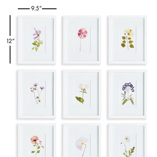 MOUNTAIN FLOWER PETITE PRINTS, SET OF 9