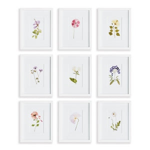 MOUNTAIN FLOWER PETITE PRINTS, SET OF 9
