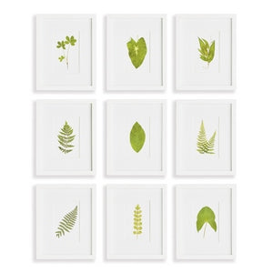 GREEN LEAF PETITE PRINTS, SET OF 9