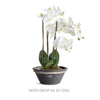 WAKEFIELD HANDMADE HENLEY FORCING POT #6