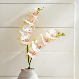 PHALAENOPSIS ORCHID STEM 28"