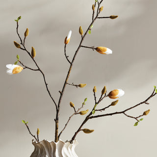 MAGNOLIA BUDDING BRANCH