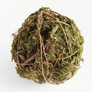 MOSSY VINE ORB 6"