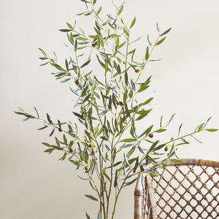 OLIVE BRANCH 67.5"