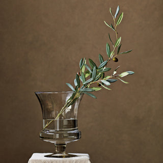 OLIVE BRANCH 67.5"