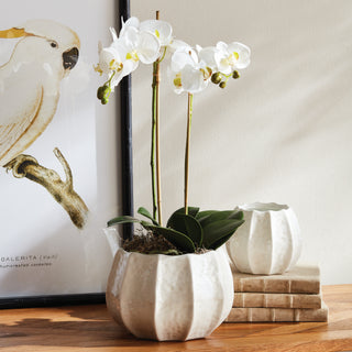 ISLANDRA POTS, SET OF 2