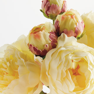 PEONIES 21", BUNDLE OF 3