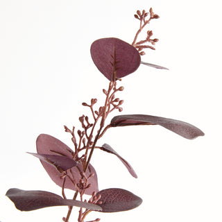 SILVER DOLLAR EUCALYPTUS BRANCH 32"