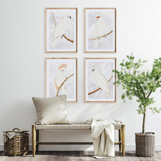 WHITE COCKATOO PRINTS, SET OF 4