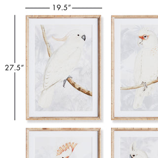 WHITE COCKATOO PRINTS, SET OF 4