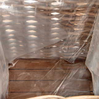 HARRISON PLANTERS, SET OF 2