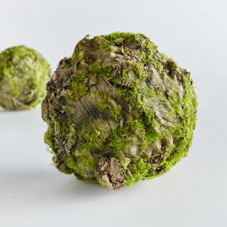 MOSSY LICHEN ORB 5"