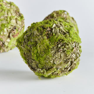 MOSSY LICHEN ORB 4"