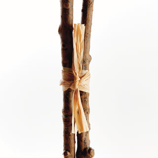 GINKGO BRANCH 40", BUNDLE OF 2