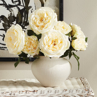ENGLISH ROSE, BUNDLE OF 2