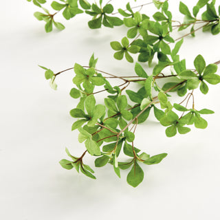 JAPANESE DODAN BRANCH 50"