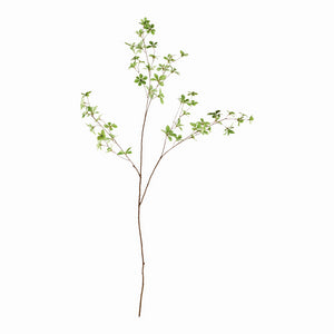 JAPANESE DODAN BRANCH 50"