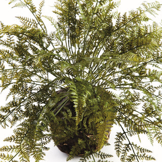 SOFT FERN DROP-IN 18.5"