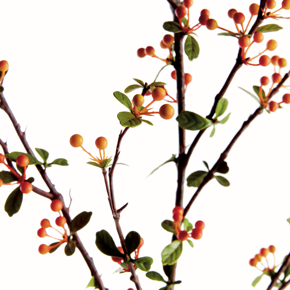 MULTI-COLOR BERRY BRANCH 48.5