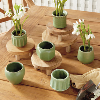 DEZIE MINI POTS, SET OF 6