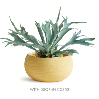 ANDERSON DECORATIVE BOWL