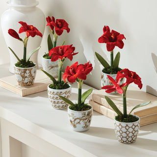 PROVINCE MINI FLOWER POTS, SET OF 6