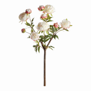 PEONY BRANCH 31"