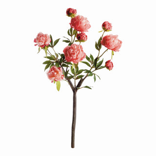 PEONY BRANCH 31"