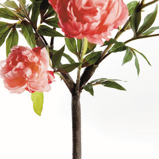 PEONY BRANCH 31"