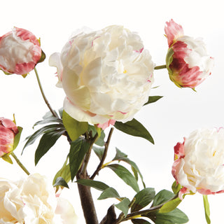 PEONY POTTED DROP-IN 18"