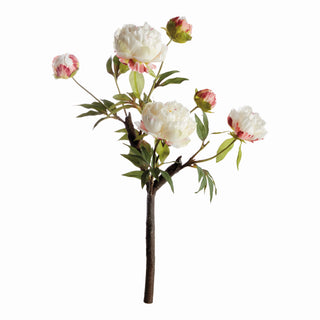 PEONY BRANCH 25"